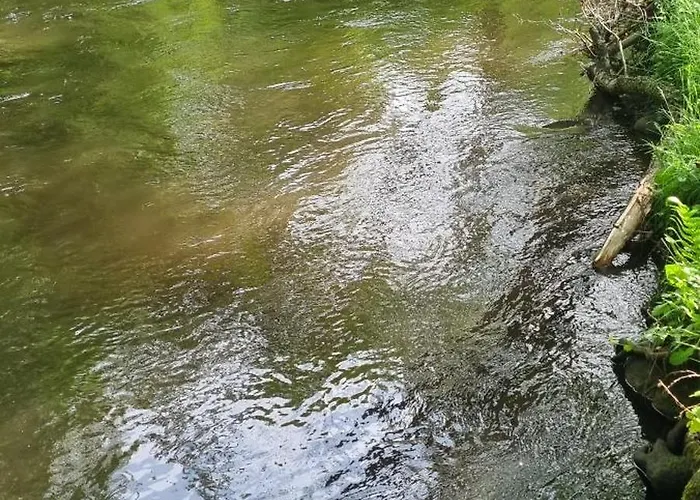 Semesterbostad Dom & Nad Rzeka *